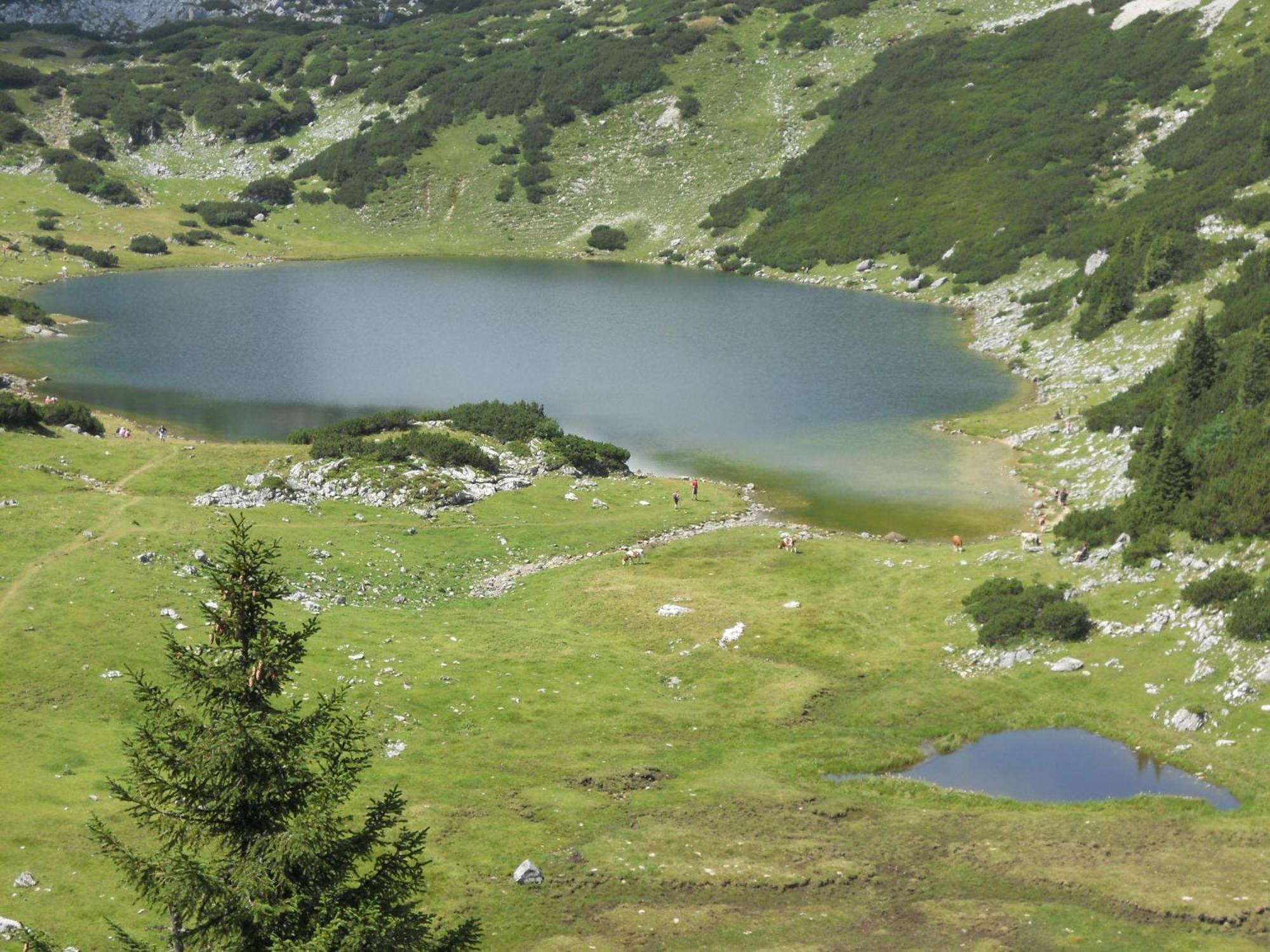 Hotel Landgasthof Pfarrwirt Thiersee Exterior foto